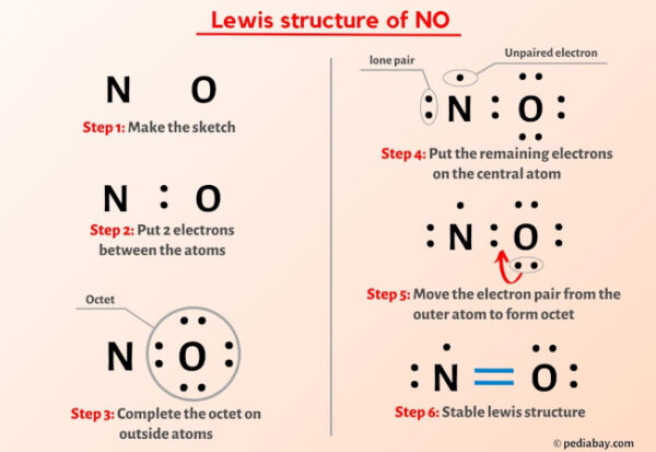 NO Lewis Structure in 5 Steps (With Images)