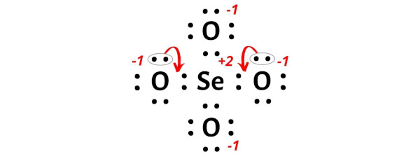 SeO4 2- step 6