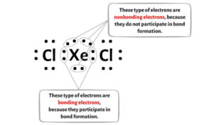 XeCl2 Lewis Structure in 5 Steps (With Images)