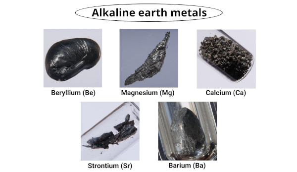 alkaline earth metals example