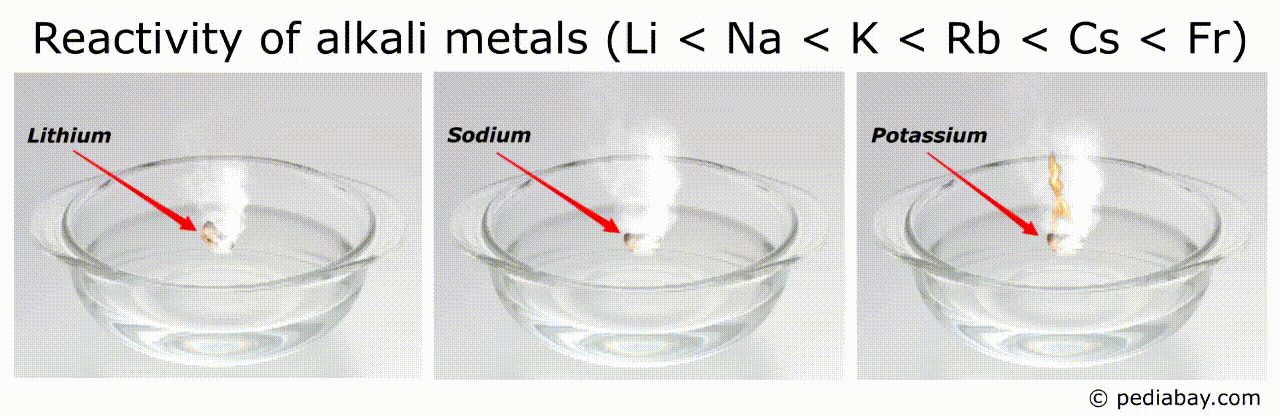 reactivity of alkali metals with water